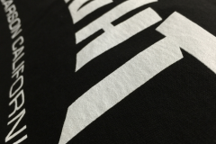 THELIGHT4-scaled